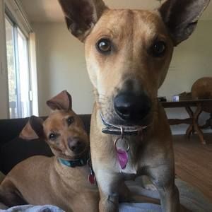 Meet your Posher, Sharon